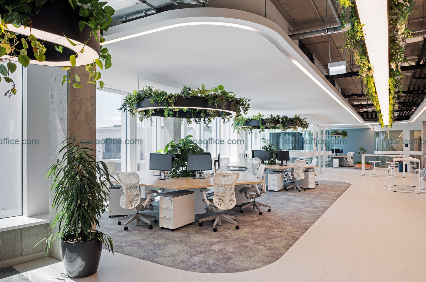 Thiết kế không gian làm việc thu hút, ấn tượng