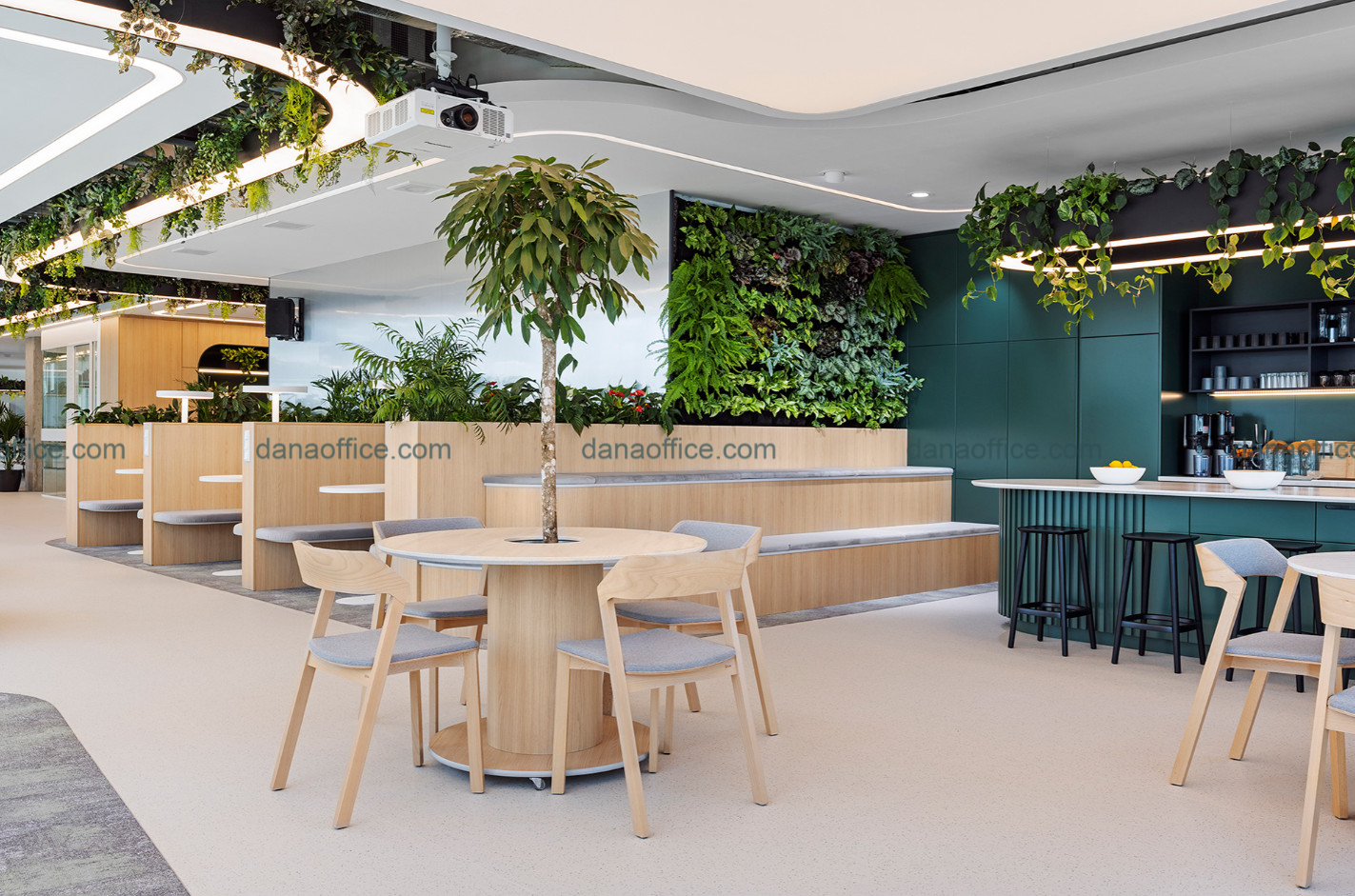 Khu vực ăn uống, giải trí